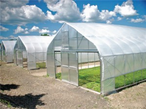 farm-solar-greenhouse-1