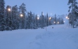В Архангельской области приступили к строительству лыжероллерной трассы